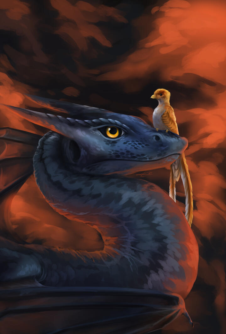 Phoenix + Wyvern Phoenix + Wyvern