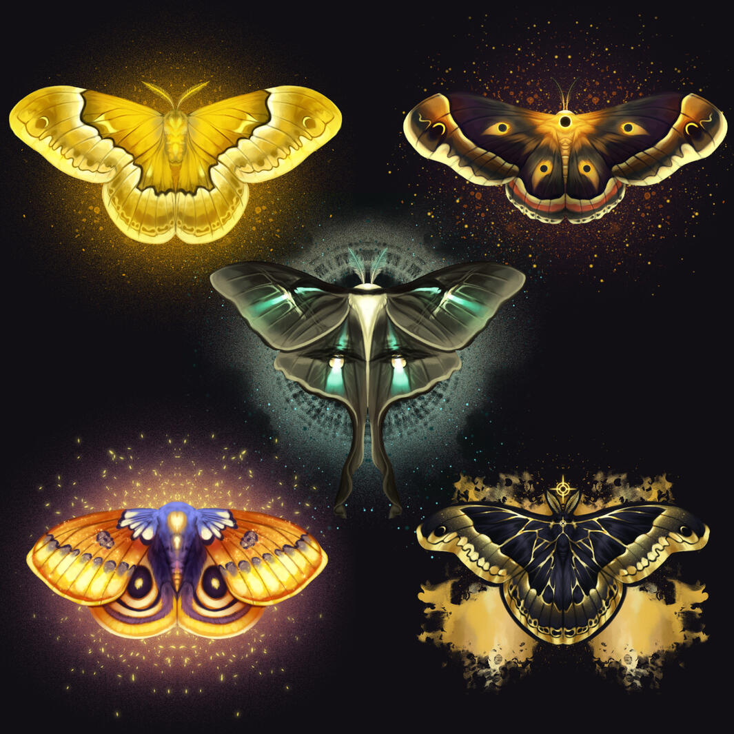 Moonlit Moths Moonlit Moths